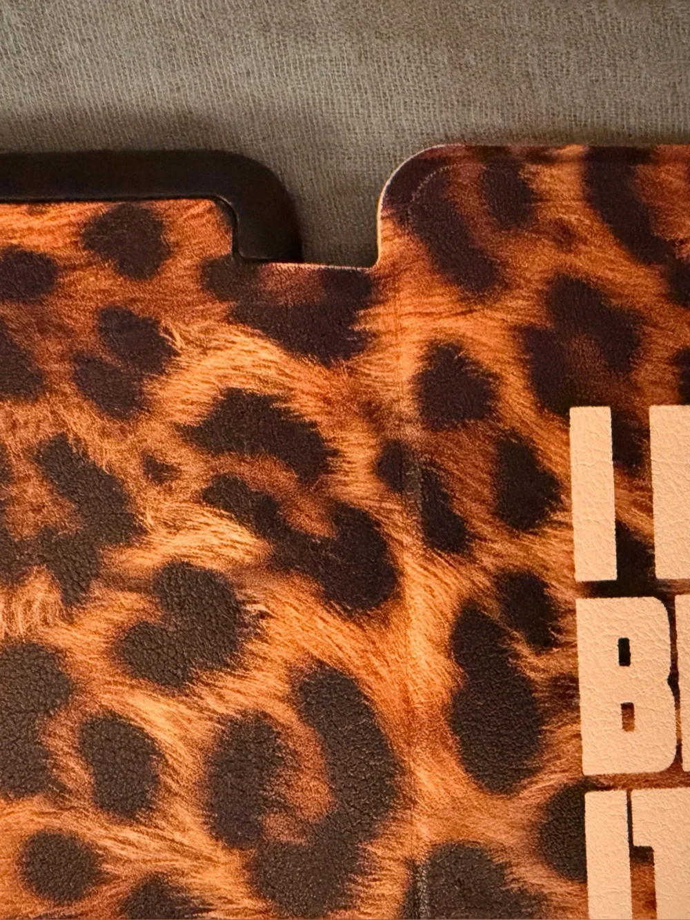 Kindle Basic Case - Picture 5 of 7